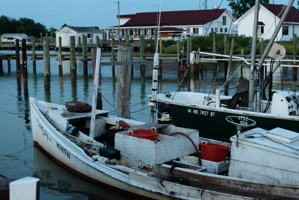 How to Visit Smith Island, Maryland
