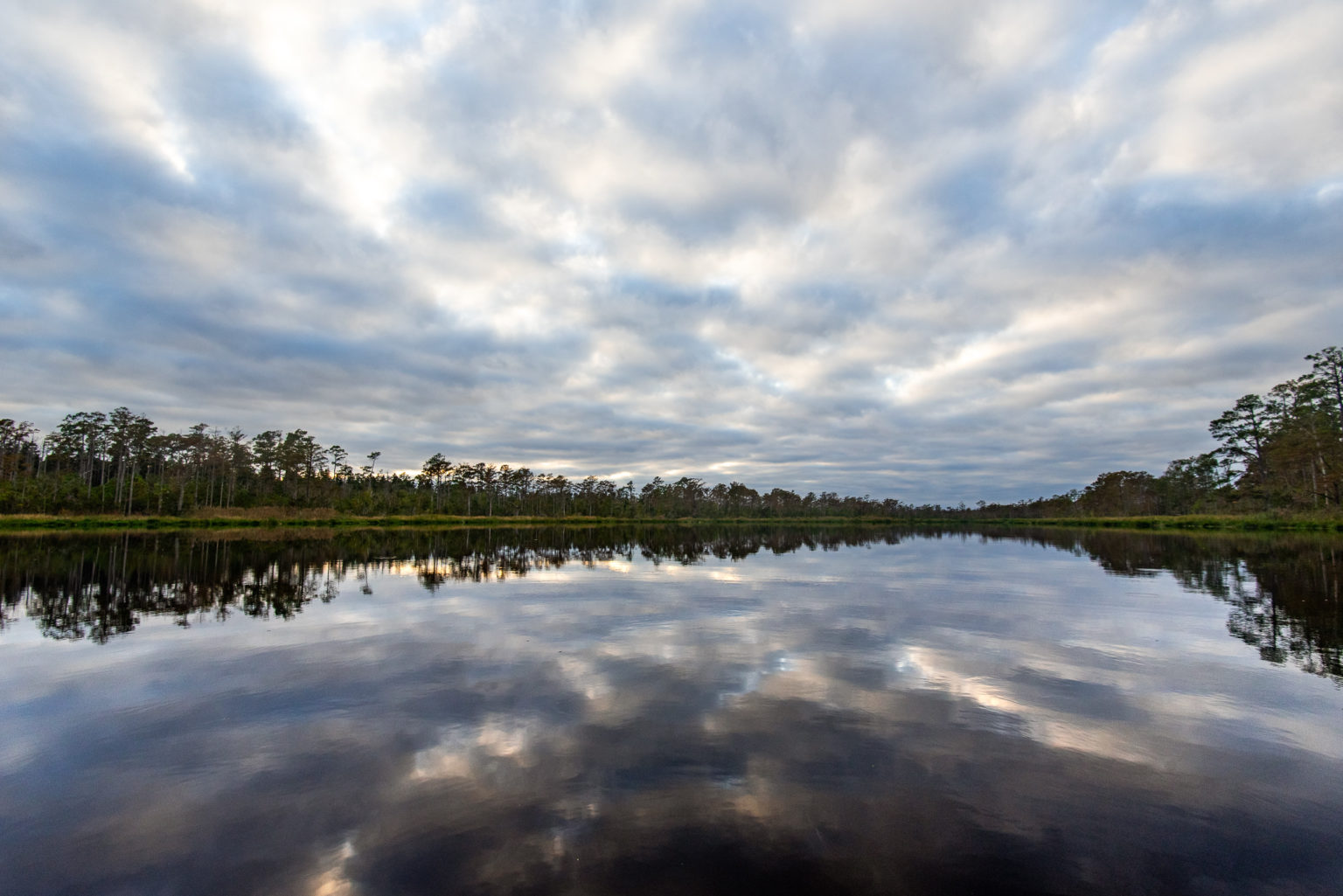 How to Kayak in Alligator River National Wildlife Refuge - abbyventure.com