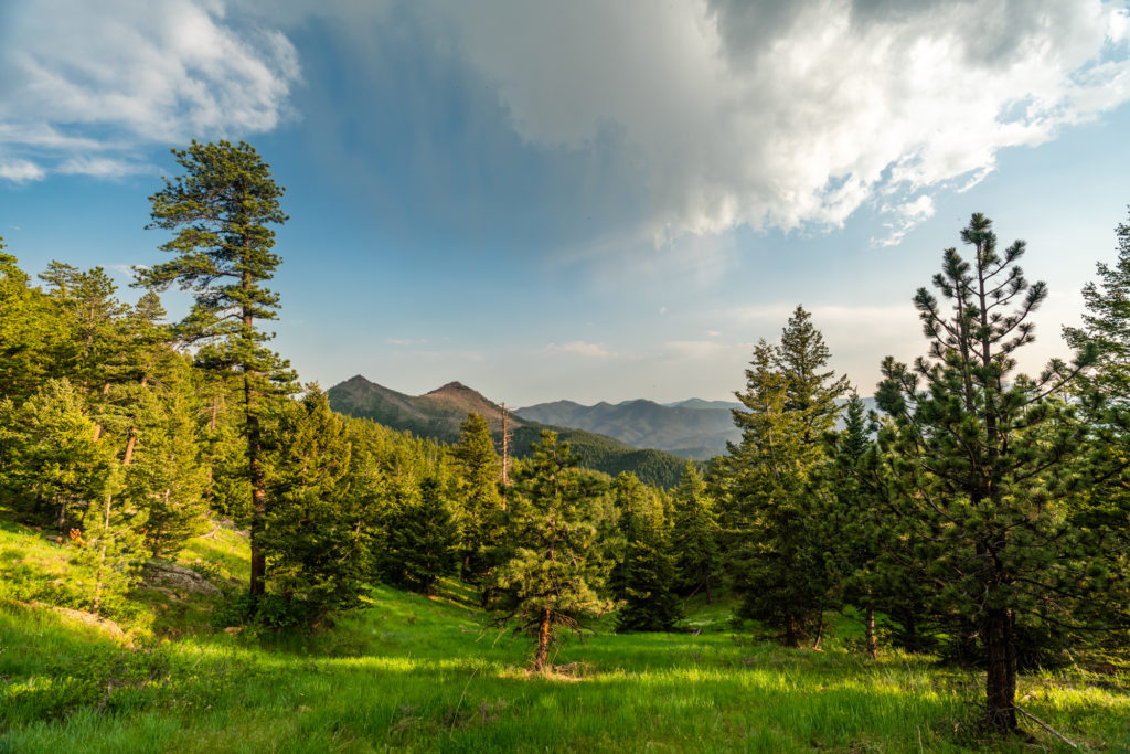 Views of mountains in Colorado